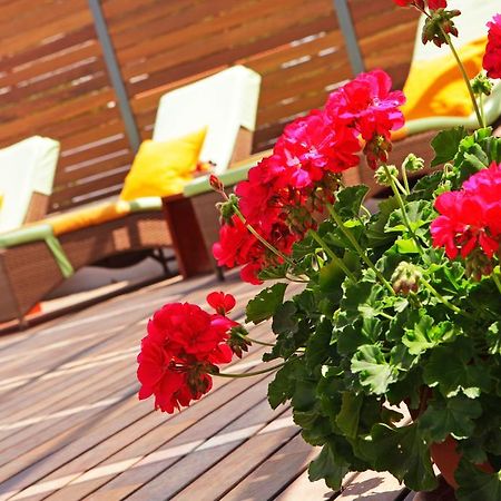 Apartments Diana - New Heated Pool Бол Екстериор снимка