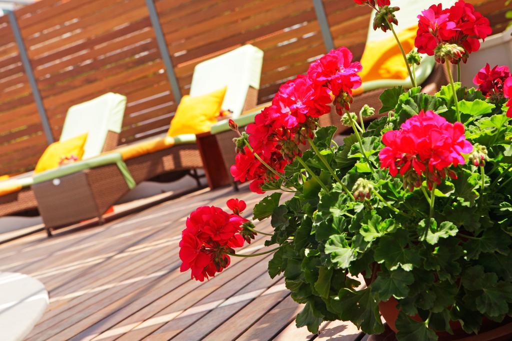 Apartments Diana - New Heated Pool Бол Екстериор снимка